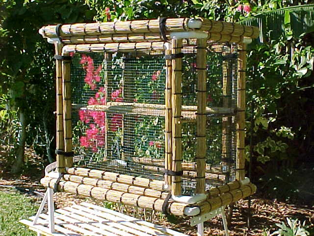 The Bamboo Basking Cage