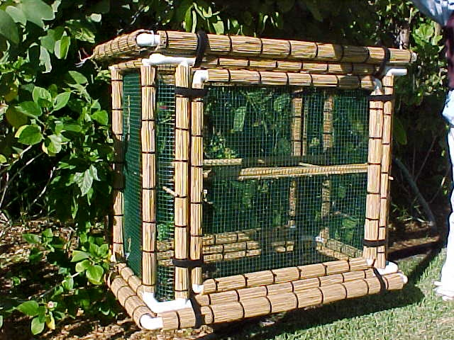 Outdoor Basking Cage